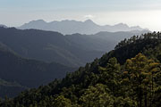 Gran Canaria - Tamadaba