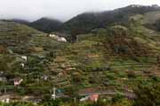 Cinque Terre - Groppo