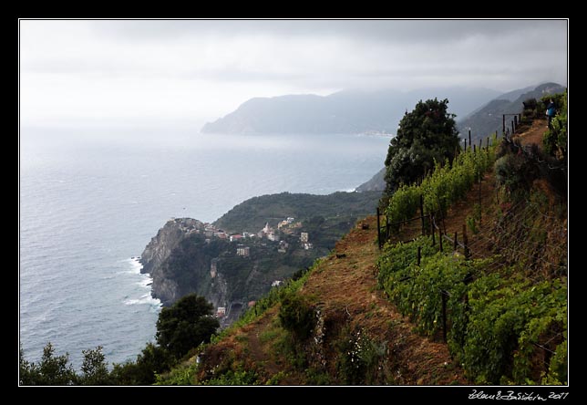 Cinque Terre - Corniglia