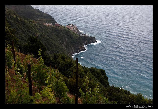 Cinque Terre - Manarola