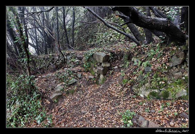 Cinque Terre - walss in old abandoned vineyards