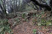 Cinque Terre - walss in old abandoned vineyards