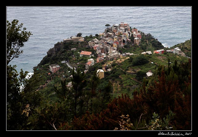 Cinque Terre - Corniglia