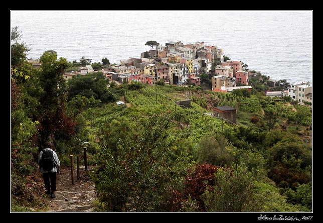 Cinque Terre - Corniglia