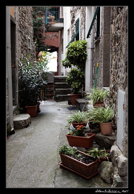 Cinque Terre - Corniglia