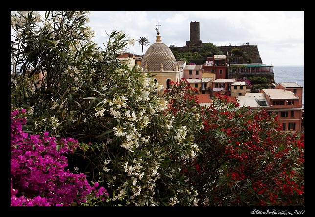 Cinque Terre - Vernazza