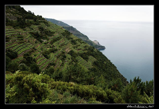 Cinque Terre -