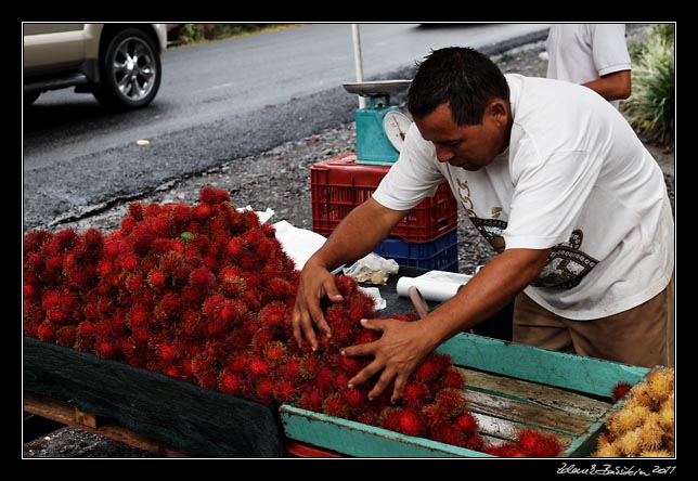 Costa Rica -  mamon