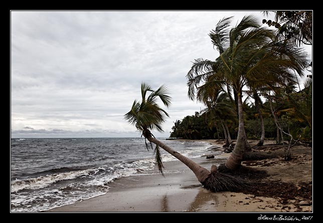 Costa Rica - Manzanillo