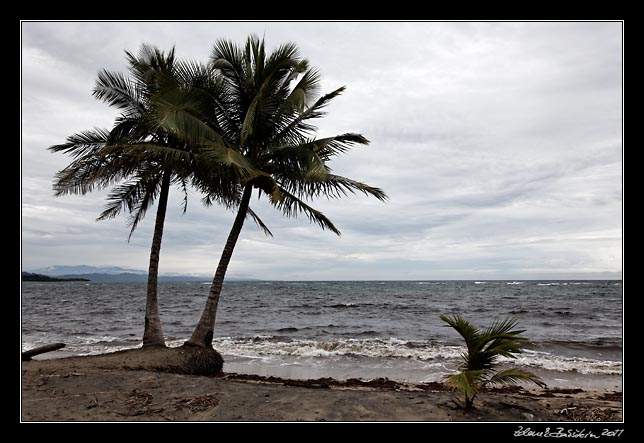 Costa Rica - Manzanillo