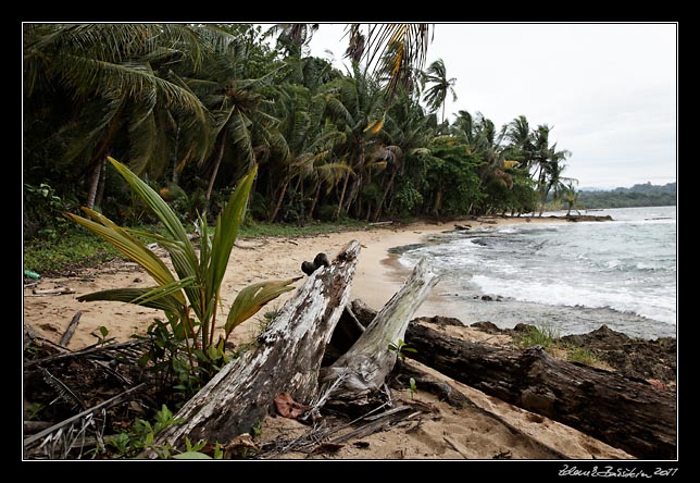 Costa Rica - Manzanillo