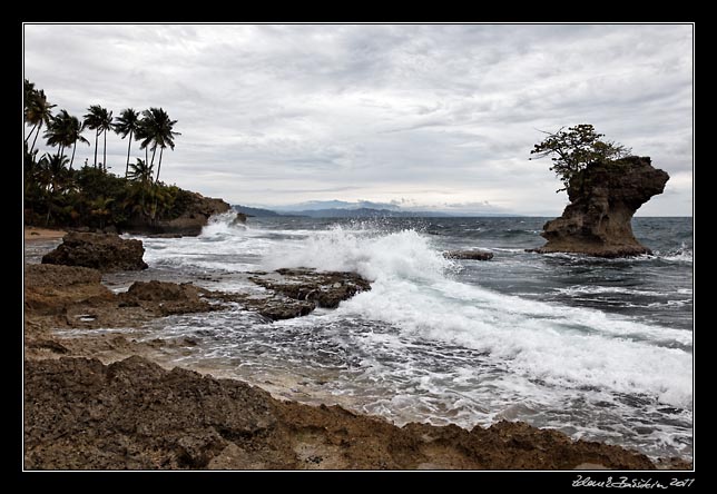 Costa Rica - Manzanillo - Manzanillo coast