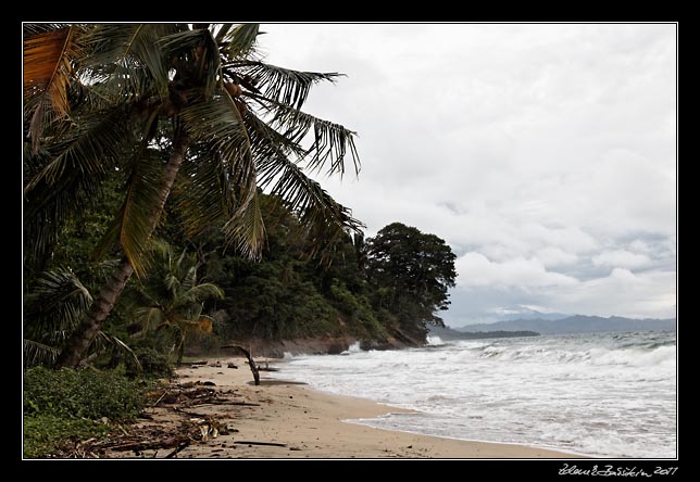 Costa Rica - Manzanillo - Manzanillo coast