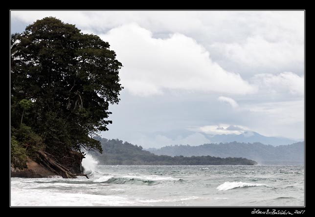 Costa Rica - Manzanillo - Manzanillo coast