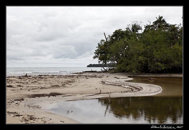 Costa Rica - Cahuita - estuary