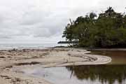 Costa Rica - Cahuita - estuary