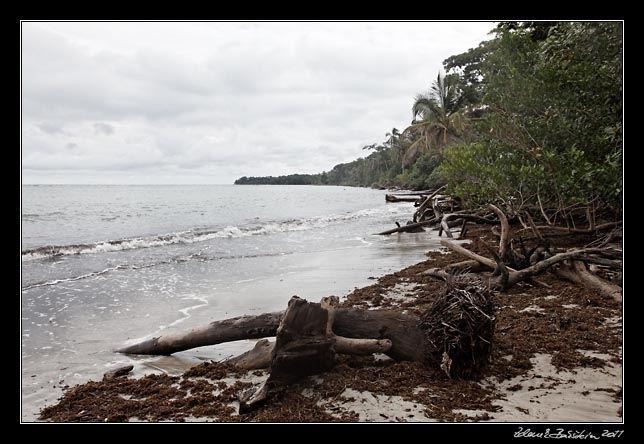 Costa Rica - Cahuita - national park coast