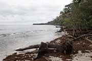 Costa Rica - Cahuita - national park coast