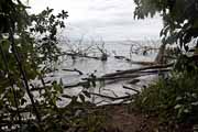 Costa Rica - Cahuita - national park coast