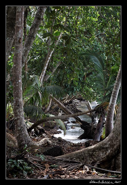 Costa Rica - Cahuita - national park coast