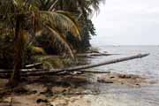 Costa Rica - Cahuita - national park coast