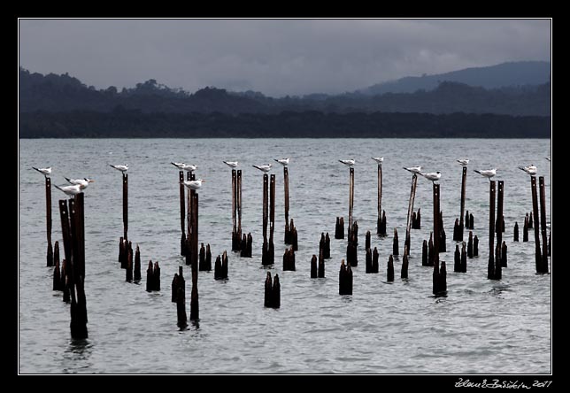 Costa Rica - Cahuita -