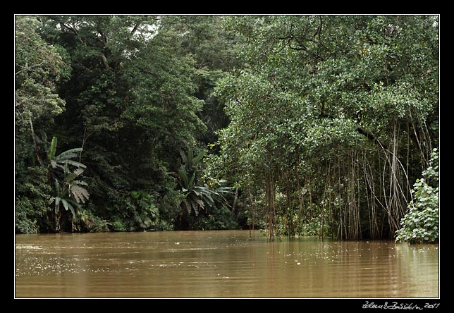 Costa Rica - Tortuguero - Tortuguero canal