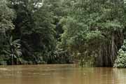 Costa Rica - Tortuguero - Tortuguero canal