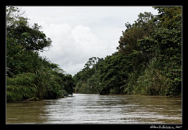 Costa Rica - Tortuguero canal -