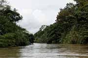 Costa Rica - Tortuguero canal -