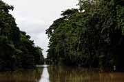 Costa Rica - Tortuguero canal -