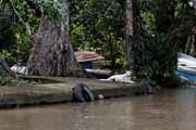 Costa Rica - Tortuguero canal -