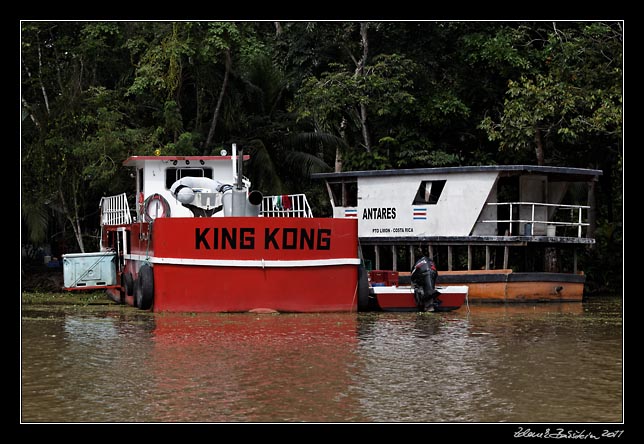 Costa Rica - Tortuguero canal -