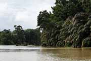 Costa Rica - Tortuguero canal -