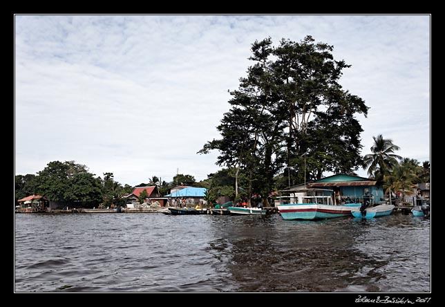 Costa Rica - Tortuguero - Tortuguero