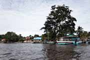 Costa Rica - Tortuguero - Tortuguero