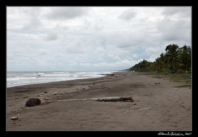 Costa Rica - Tortuguero - Tortuguero beach