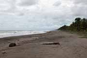 Costa Rica - Tortuguero - Tortuguero beach