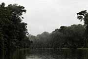 Costa Rica - Tortuguero - rainy morning