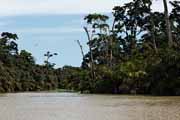 Costa Rica - Tortuguero canal -