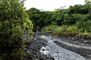 Costa Rica - Arenal - Tucnes trail