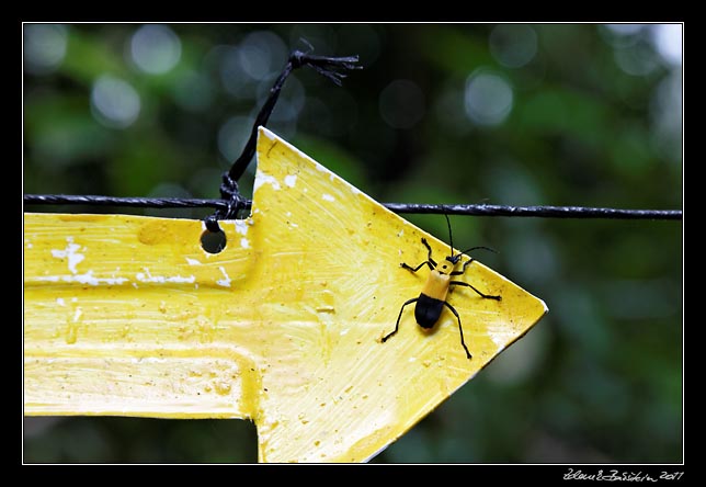 Costa Rica - Arenal -