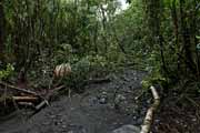 Costa Rica - Arenal - dry riverbed