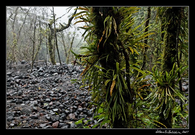 Costa Rica - Arenal -