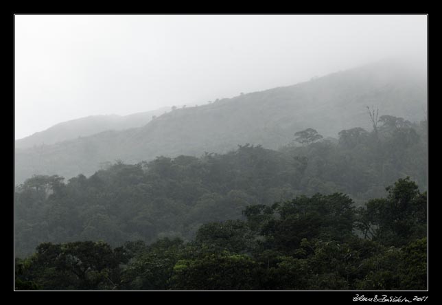 Costa Rica - Arenal - slopes of the volcano