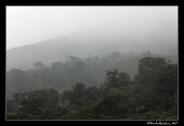 Costa Rica - Arenal - slopes of the volcano