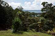 Costa Rica - Arenal - western end of Laguna Arenal