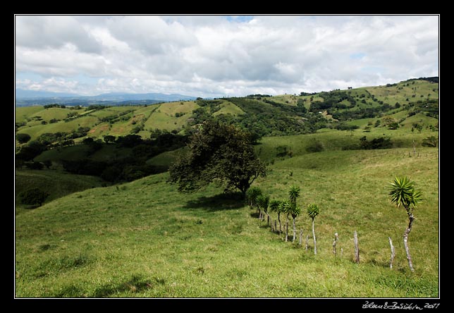 Costa Rica - Arenal - agricultural landscape south of Laguna Arenal