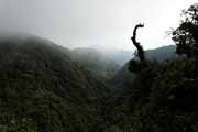 Costa Rica - Monteverde - cloud forest