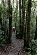 Costa Rica - Monteverde -